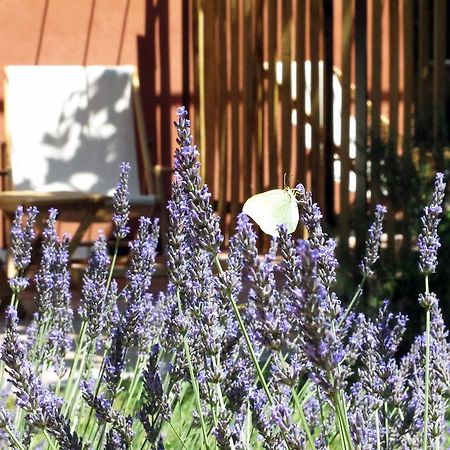 Les Pierres Sauvages Bed & Breakfast Besse-sur-Issole Екстериор снимка