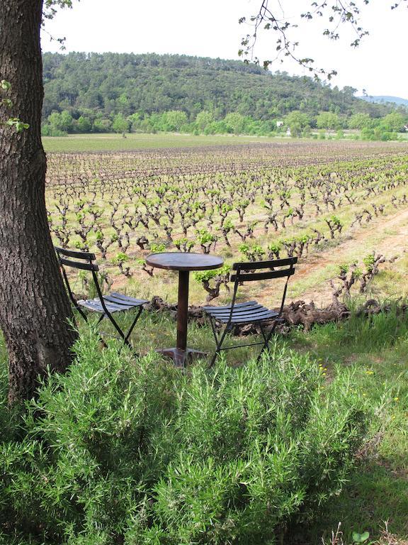 Les Pierres Sauvages Bed & Breakfast Besse-sur-Issole Екстериор снимка