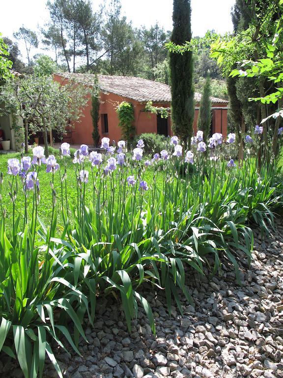 Les Pierres Sauvages Bed & Breakfast Besse-sur-Issole Екстериор снимка